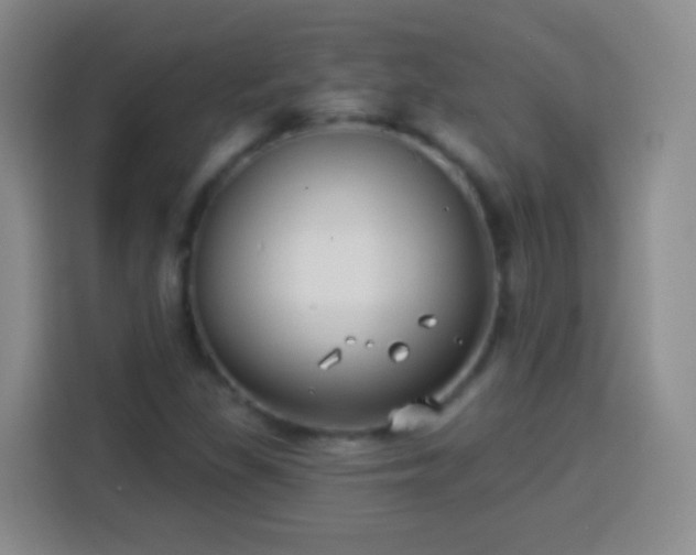 X0000113941309200910021254