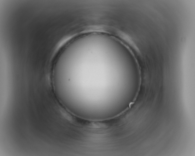 X0000113941312200910021254