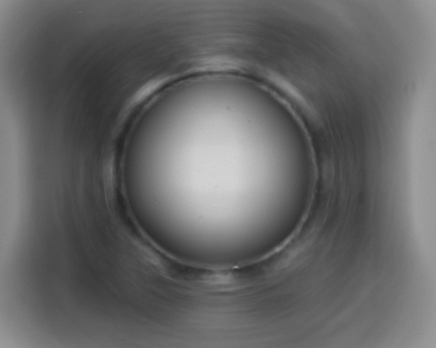 X0000113941315200910021254