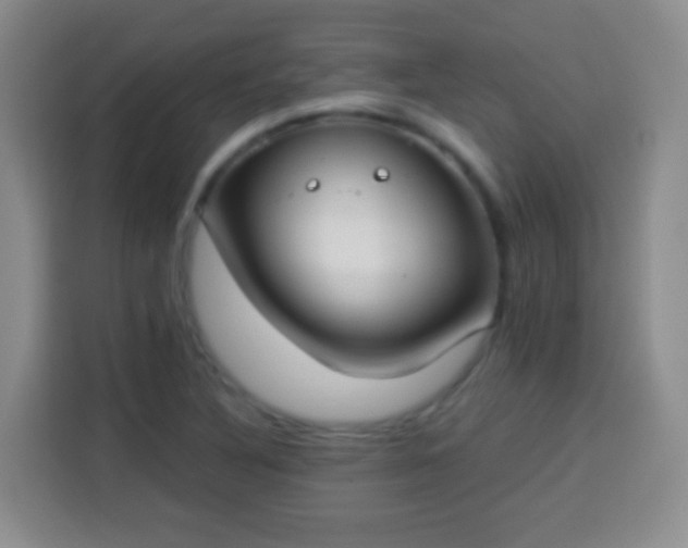 X0000113941316200910021254