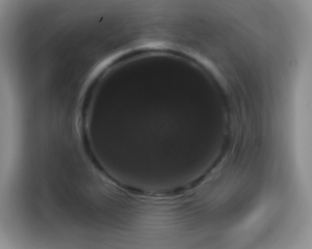 X0000113941319200910021254