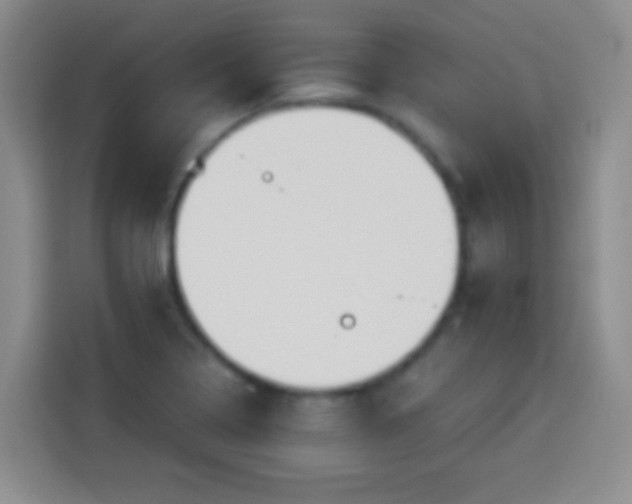 X0000113941322200910021254