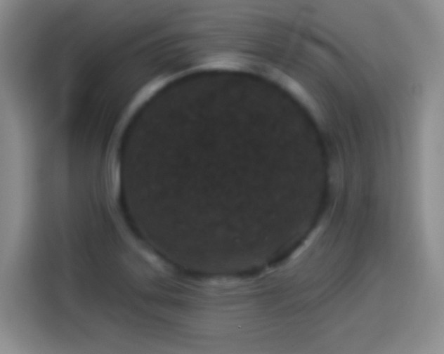 X0000113941323200910021254