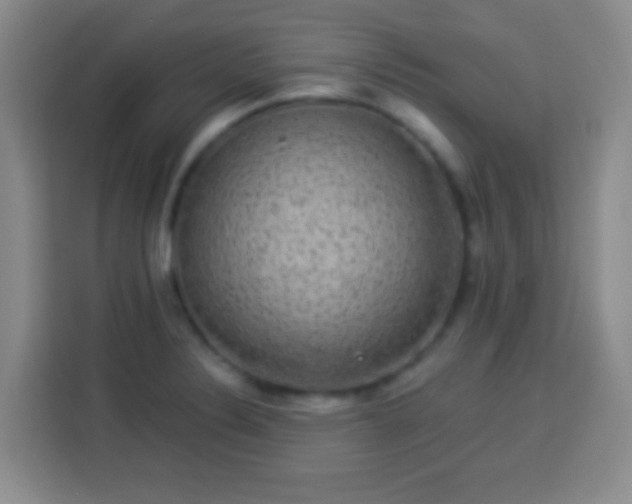 X0000113941324200910021254