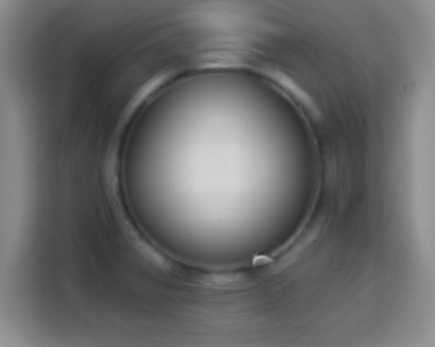 X0000113941325200910021255