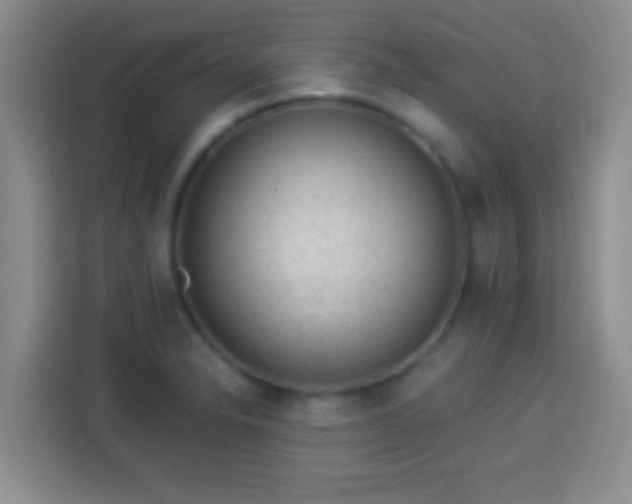 X0000113941326200910021255