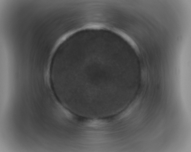 X0000113941327200910021255