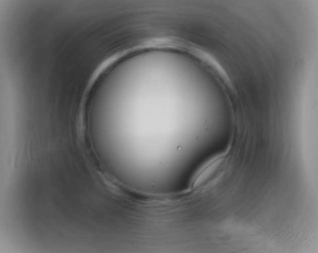 X0000113941328200910021255