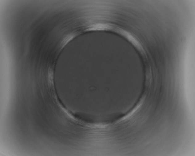 X0000113941329200910021255