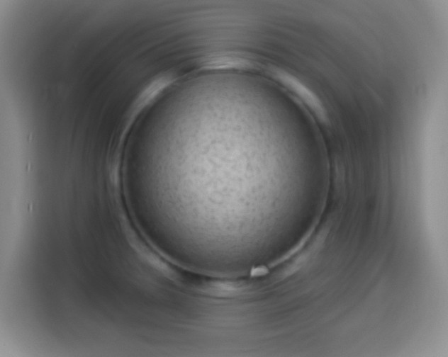 X0000113941330200910021255