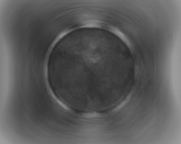 X0000113941331200910021255