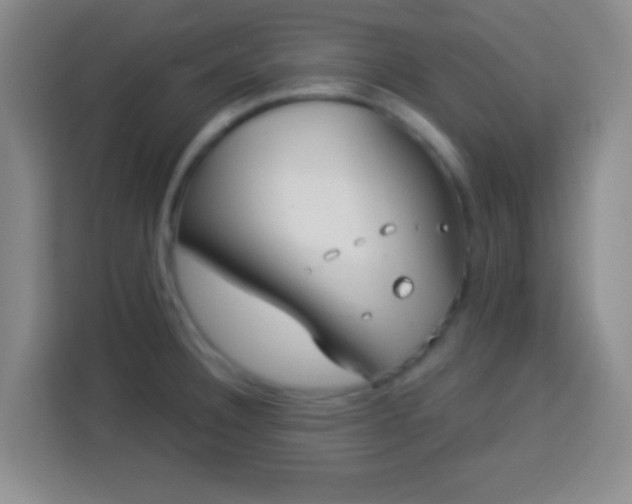 X0000113941332200910021255