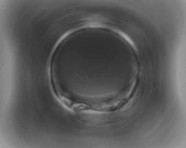 X0000113941334200910021255