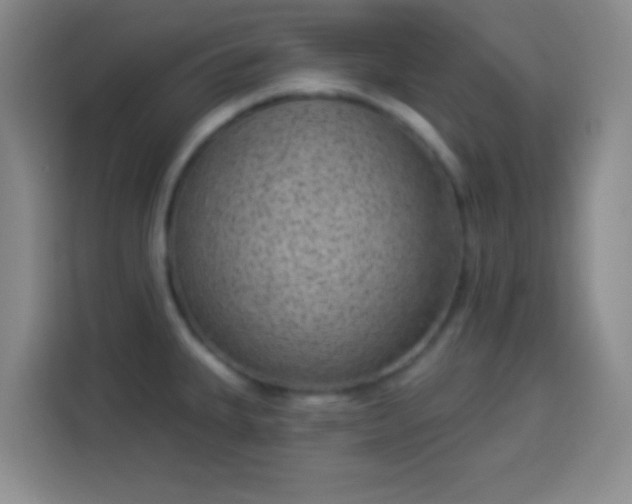 X0000113941335200910021255