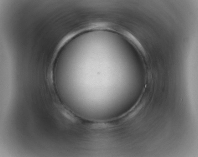 X0000113941336200910021255