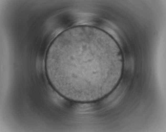 X0000113941338200910021255