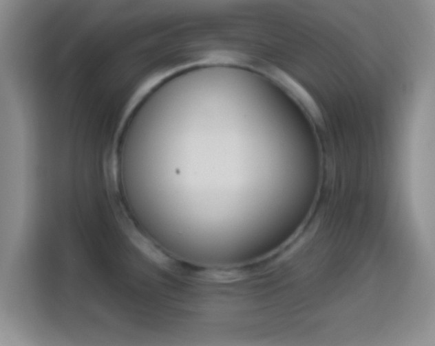 X0000113941340200910021255