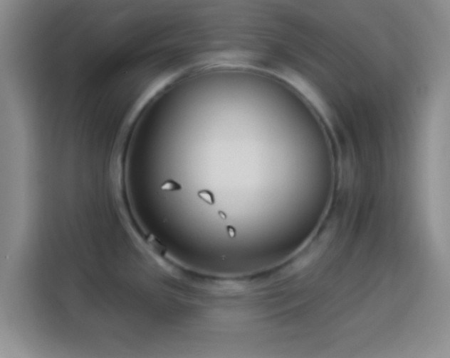 X0000113941341200910021255