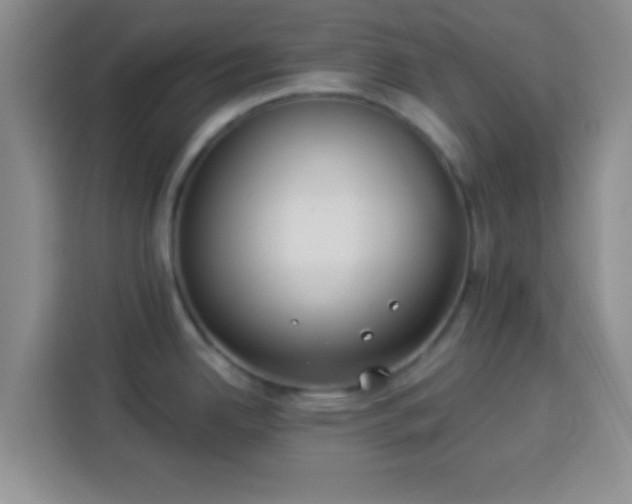 X0000113941342200910021255