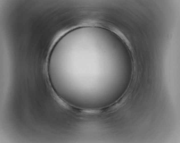 X0000113941344200910021255