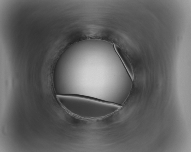 X0000113941345200910021254