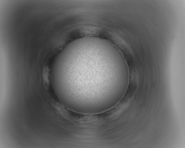 X0000113941346200910021254