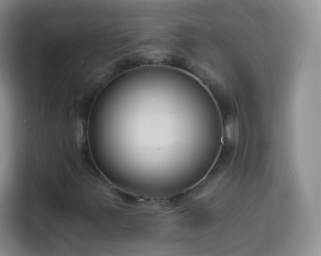 X0000113941347200910021254