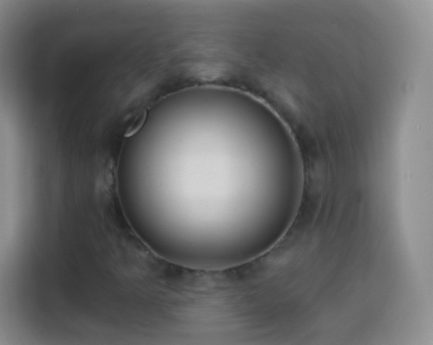 X0000113941349200910021254