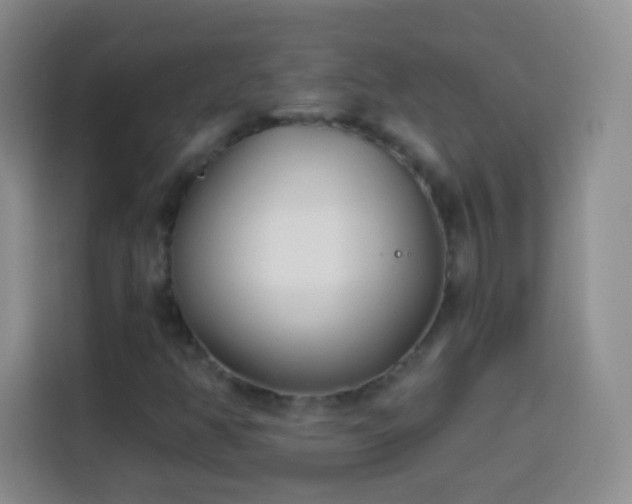 X0000113941350200910021254