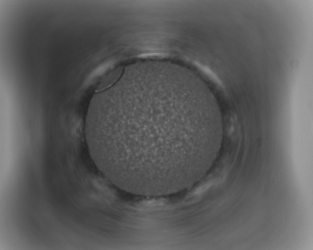 X0000113941351200910021254