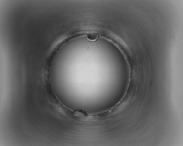 X0000113941352200910021254