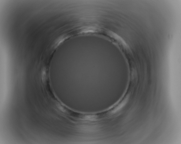 X0000113941353200910021254