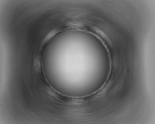 X0000113941354200910021254