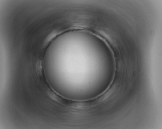 X0000113941355200910021254