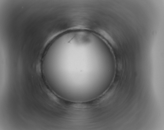 X0000113941356200910021254