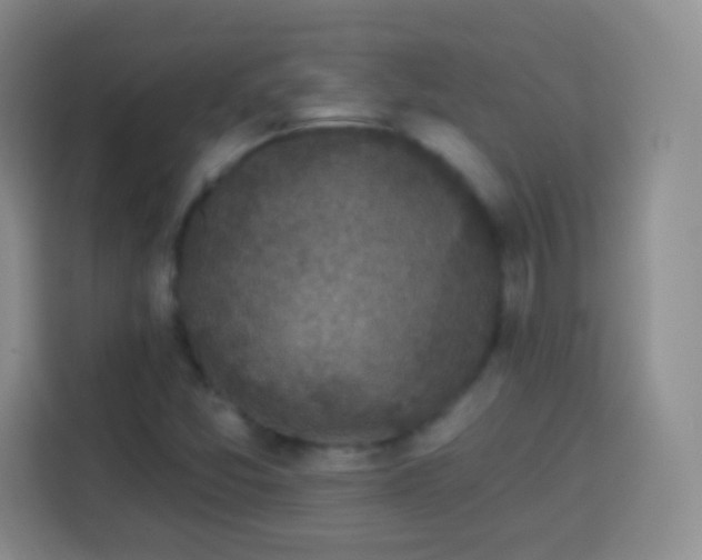 X0000113941357200910021254