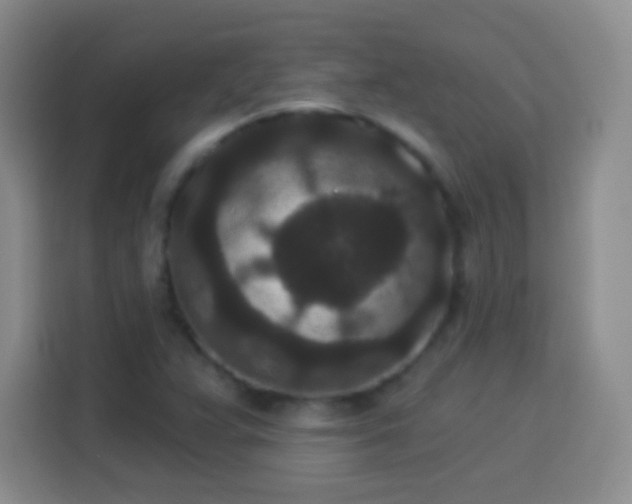 X0000113941359200910021254