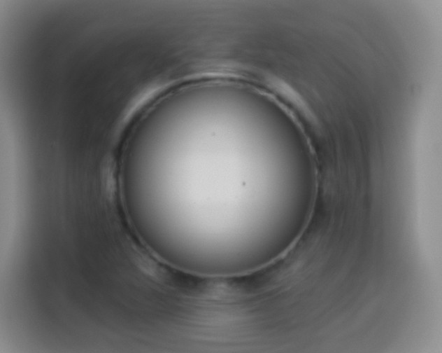 X0000113941360200910021254