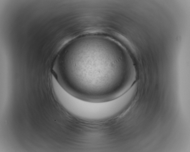 X0000113941361200910021254