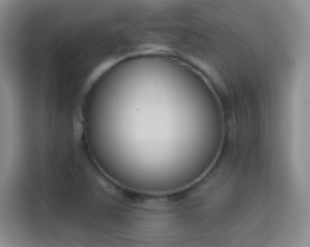 X0000113941363200910021254