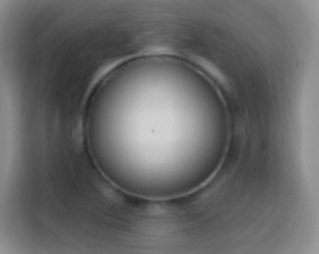 X0000113941364200910021254