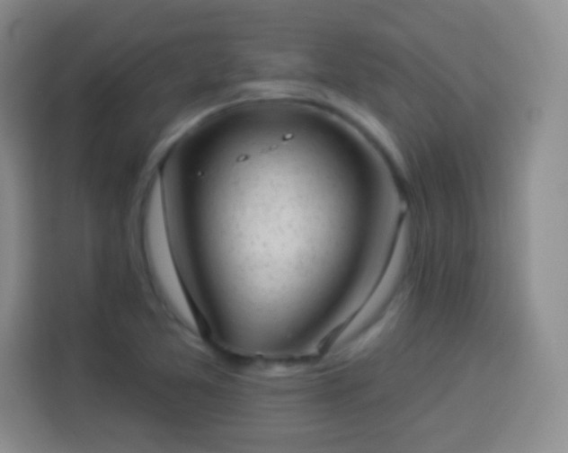 X0000113941365200910021254