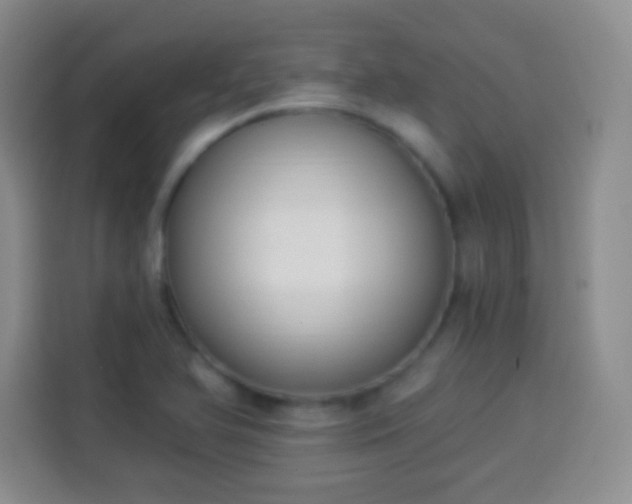 X0000113941366200910021254