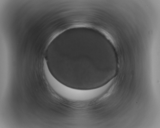 X0000113941369200910021254