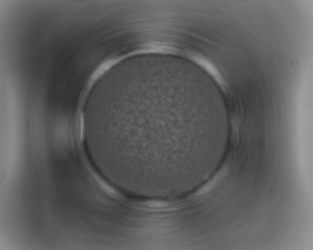 X0000113941371200910021254