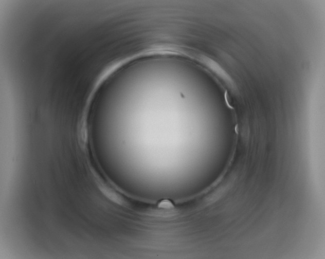 X0000113941372200910021254