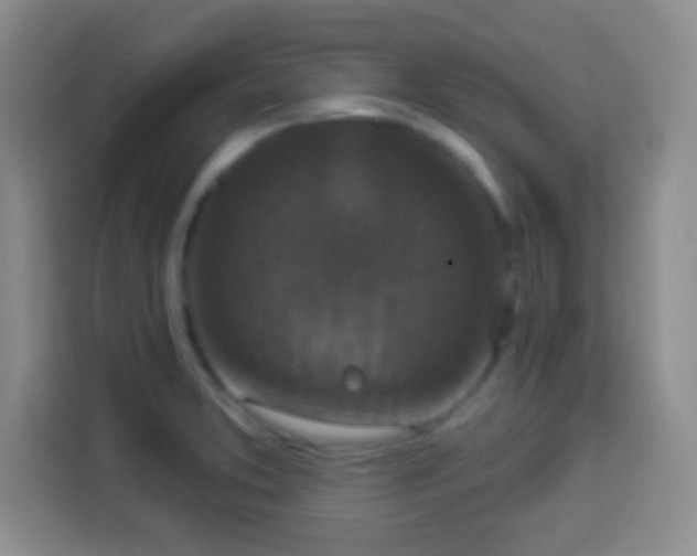 X0000113941373200910021254