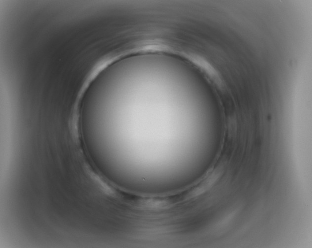 X0000113941374200910021254