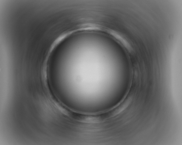 X0000113941375200910021254