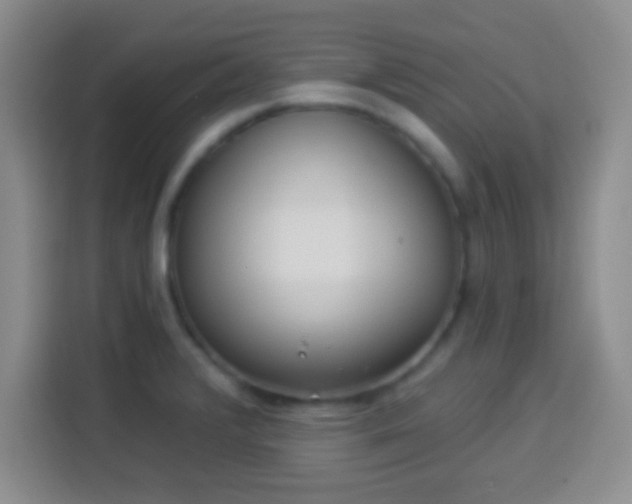 X0000113941376200910021254